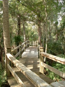 Steinhatchee, FL