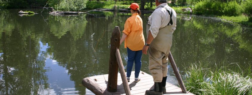 fly-fishing-for-trout-near-las-vegas-nm